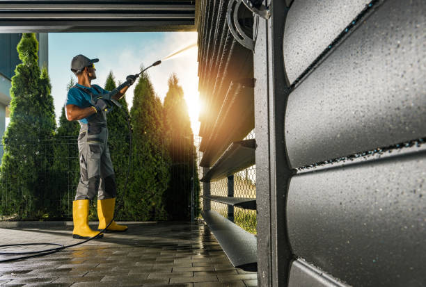 Best Roof Pressure Washing  in South Congaree, SC