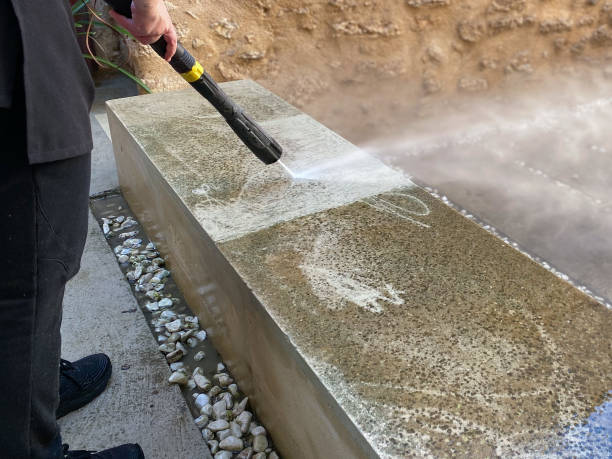 Best House Pressure Washing  in South Congaree, SC